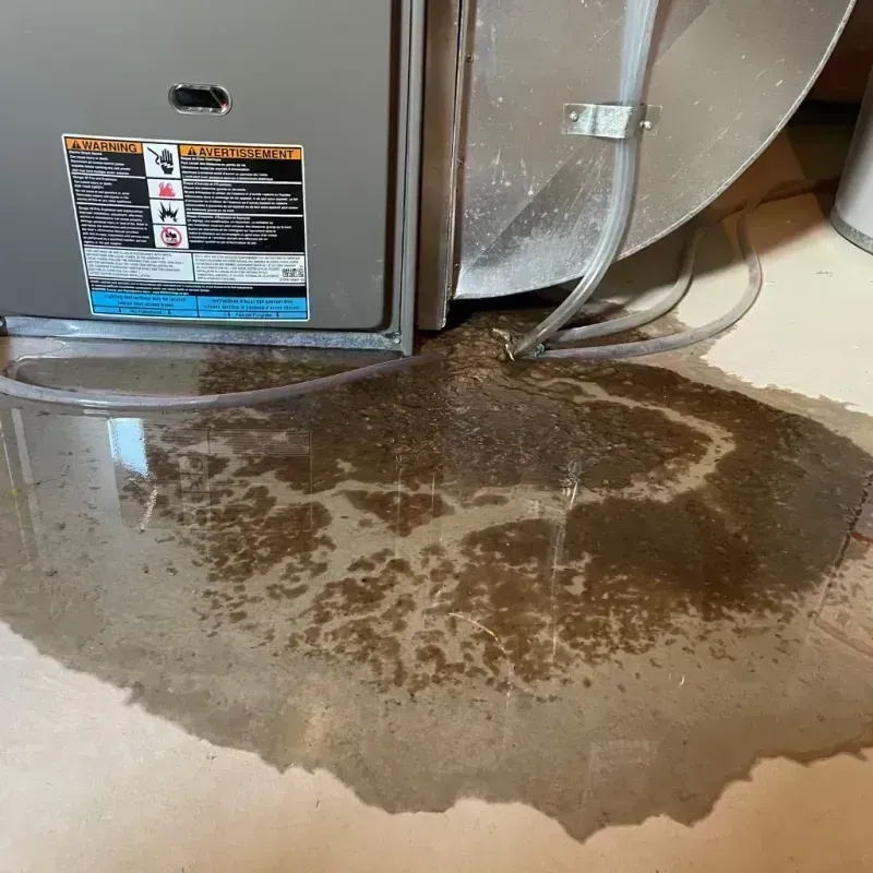 Appliance Leak Cleanup in Lawrence County, MO